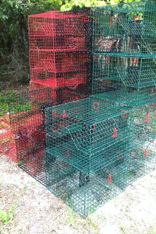PVC Coated Wire Mesh used as crab traps