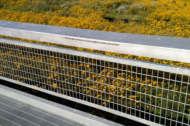 Direct Metals Welded Wire Mesh Metal Fencing and Bar Grating Flooring